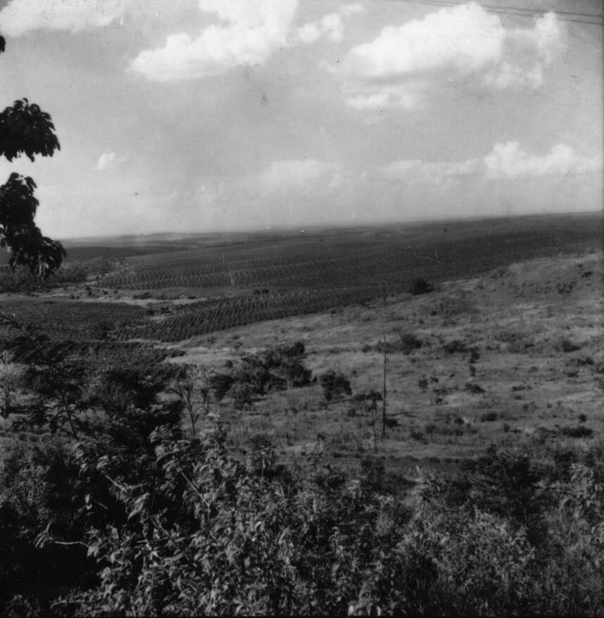 Cornélio Procópio - Década de 1960