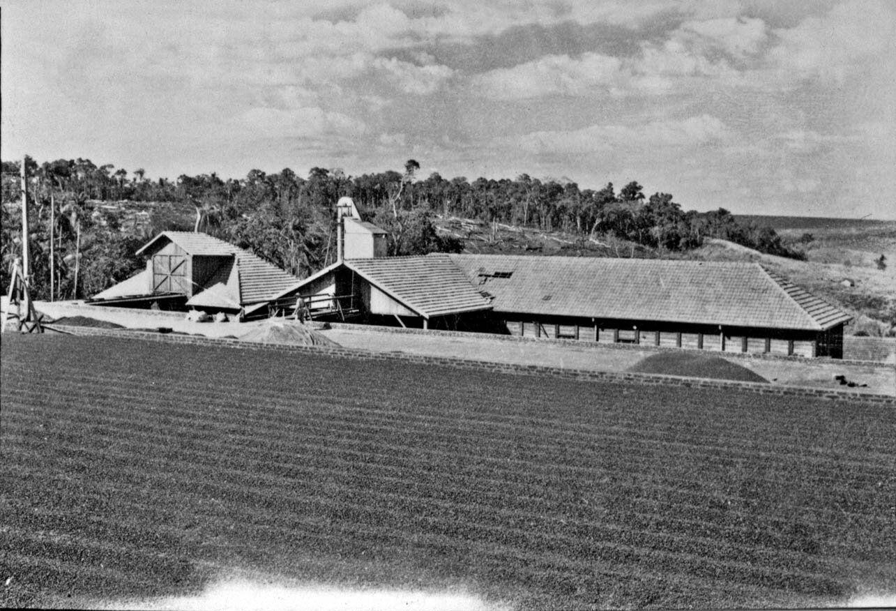 Usina de beneficiamento de café, em Marialva - 1955