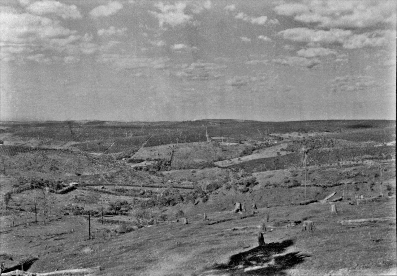 O Vale do Ivaí - 1955